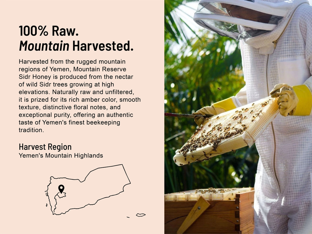 Yemeni Sidr Honey — Mountain Reserve
