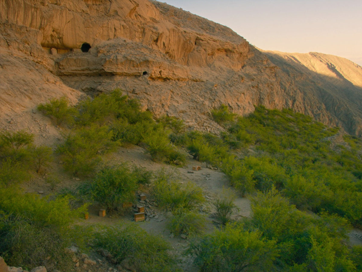 Pakistan. 
Orchards and 
cliff caves.