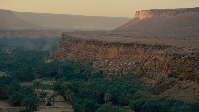 Yemen: the valley floor and the highland grove